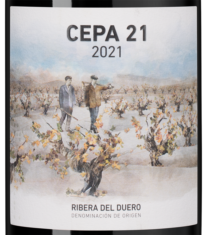 Вино Cepa 21, Bodegas Cepa 21, 2021, (146775), Испания, Кастилия и Леон, красное, сухое, 0.75 л, Рибера дель Дуэро Сепа 21, цена 6690 рублей