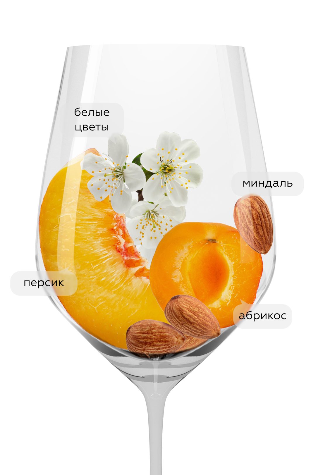 Вино Solandia Grillo-Chardonnay, GIV, 2021, (137599), Италия, Сицилия, белое, сухое, 0.75 л, Соландия Грилло-Шардоне, цена 1640 рублей