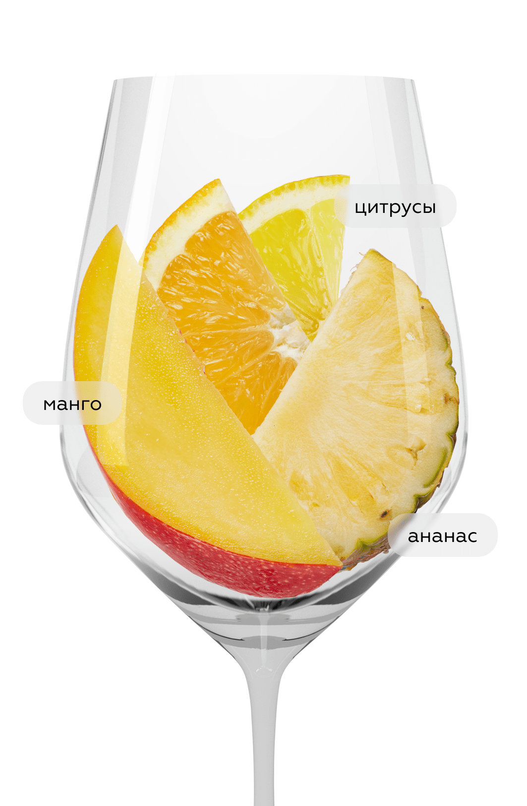 Вино Riesling Vom Grauen Schiefer, Clemens Busch, 2023, (154100), Германия, Мозель, белое, полусухое, 0.75 л, Рислинг Фом Грауэн Шифер, цена 7490 рублей