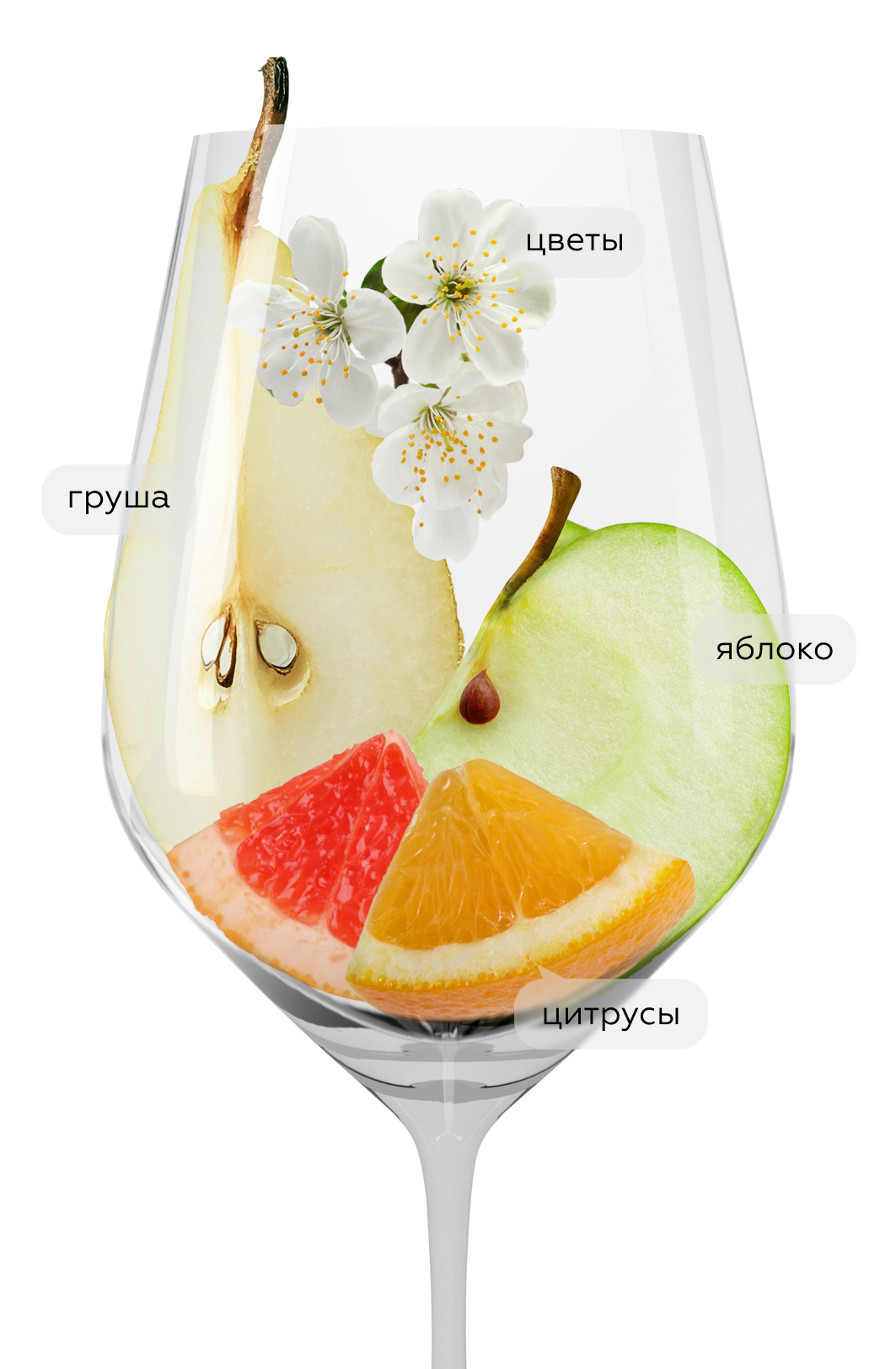 Вино Hans Baer Riesling, Weinkellerei Hechtsheim, 2022, (141771), Германия, Рейнгессен, белое, полусухое, 0.75 л, Ханс Баер Рислинг, цена 1290 рублей