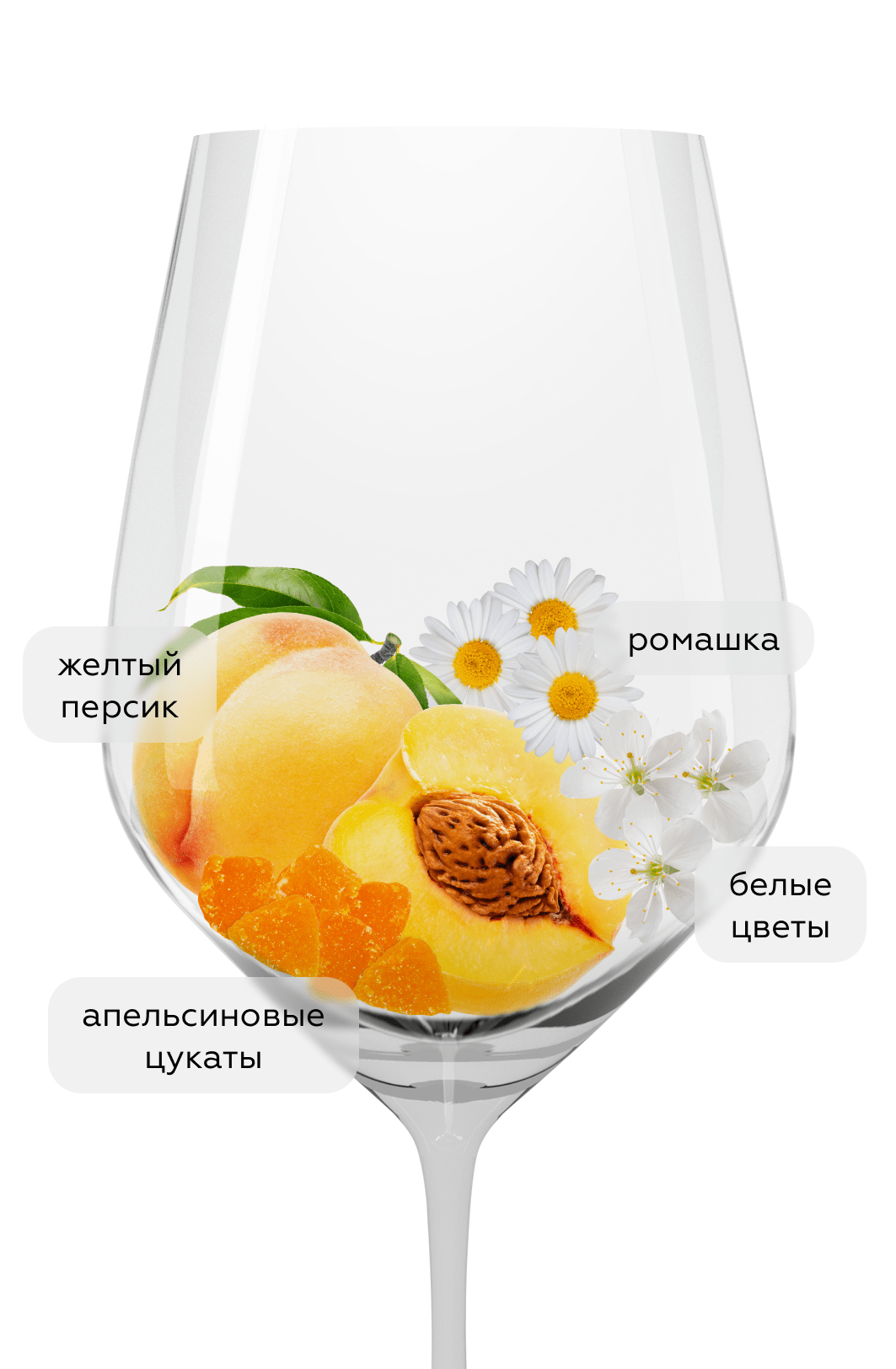 Вино Fiano di Avellino, Feudi di San Gregorio, 2024, (155302), Италия, Кампания, белое, сухое, 0.75 л, Фиано ди Авеллино, цена 4490 рублей