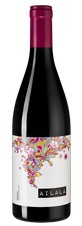 Вино Ailala Souson, (116165), красное сухое, 2016 г., 0.75 л, Айлала Соусон цена 3990 рублей