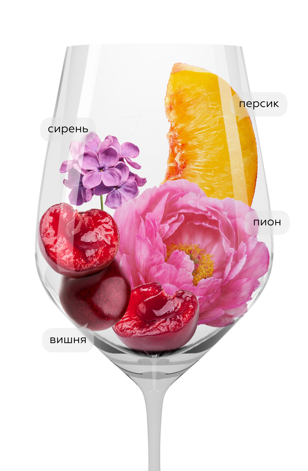 Вино Chenas Quartz, Domaines Dominique Piron, 2020, (148623), Франция, Бургундия, красное, сухое, 0.75 л, Шенас Кварц, цена 6790 рублей