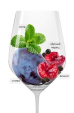 Вино Sedara, (136020), красное сухое, 2020 г., 0.75 л, Седара цена 2990 рублей