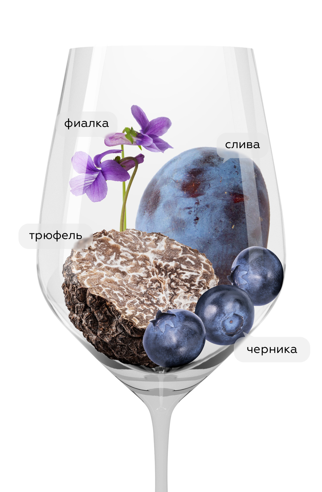 Вино Volta di Bertinga, 2019, (154989), Италия, Тоскана, красное, сухое, 0.75 л, Вольта ди Бертинга, цена 39990 рублей