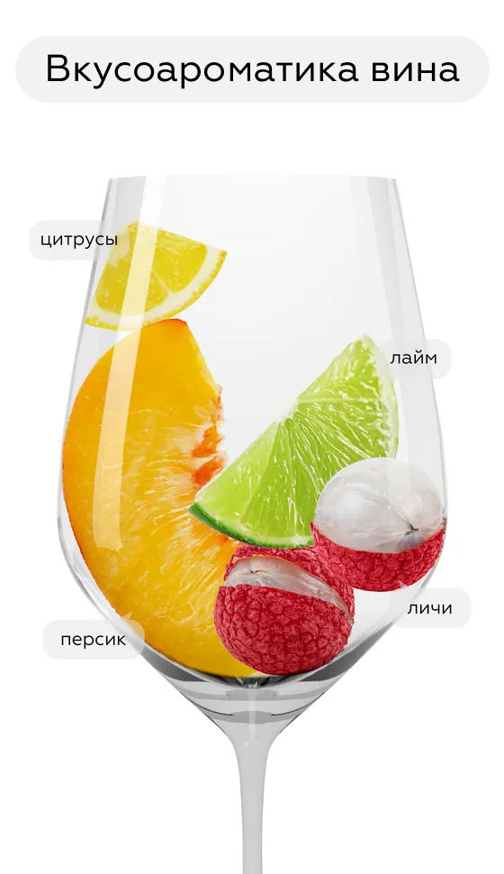 Вино Mare & Grill Vinho Verde, Quintas das Arcas, 2023, (149784), Португалия, Миньо, белое, полусухое, 0.75 л, Маре & Гриль Винью Верде, цена 1590 рублей