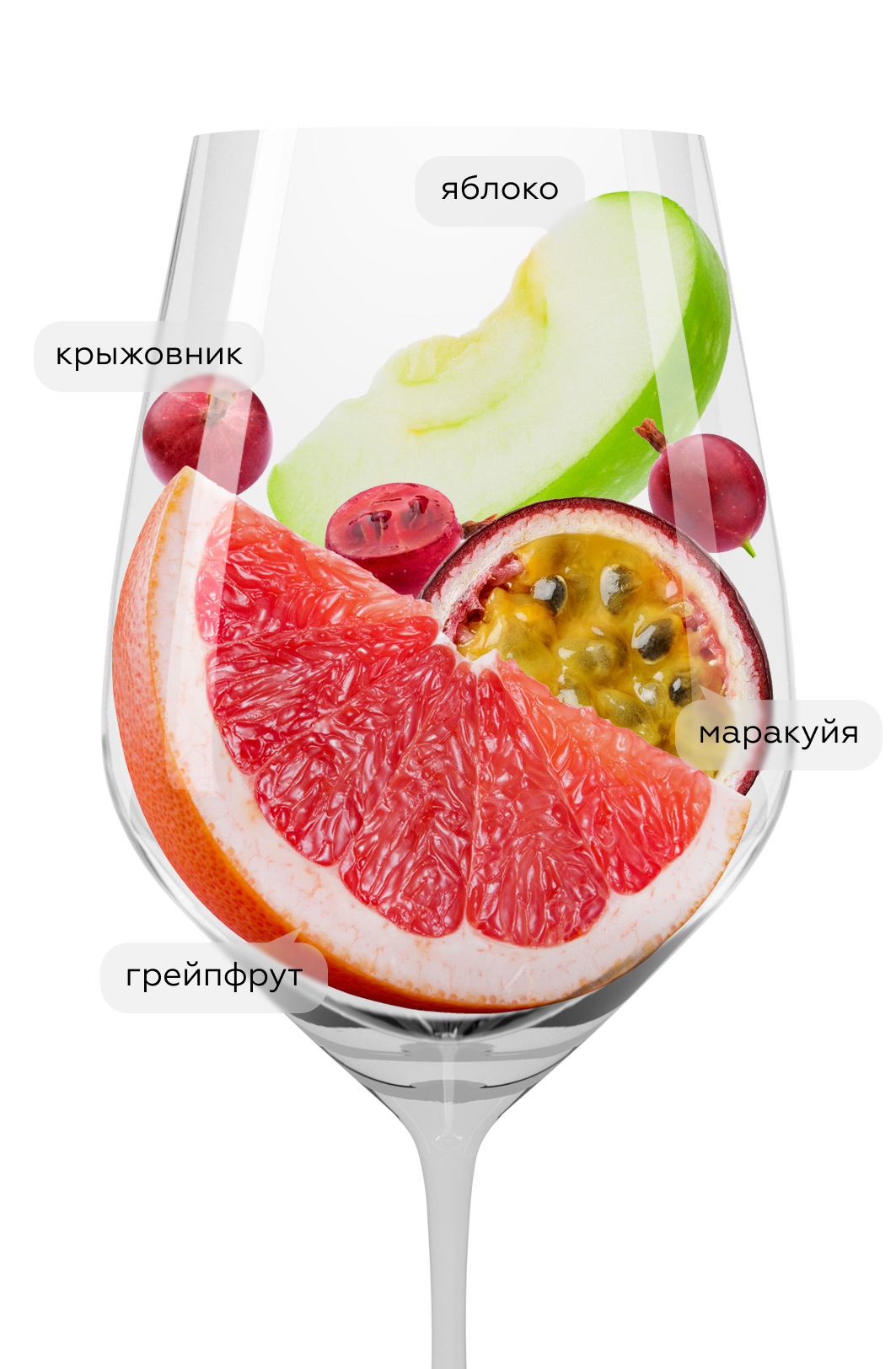 Вино Petit Bourgeois Sauvignon, Henri Bourgeois, 2022, (142358), Франция, Долина Луары, белое, сухое, 0.75 л, Пти Буржуа Совиньон, цена 3490 рублей