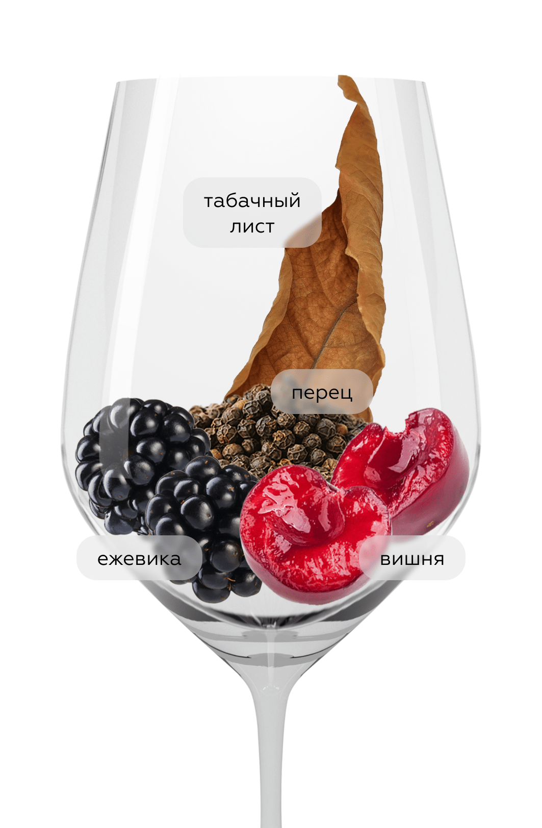 Вино Proximo, Marques de Riscal, 2021, (155838), Испания, Риоха, красное, сухое, 0.75 л, Риоха Проксимо, цена 1718 рублей