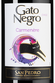 Красное вино региона Центральная Долина Gato Negro Carmenere