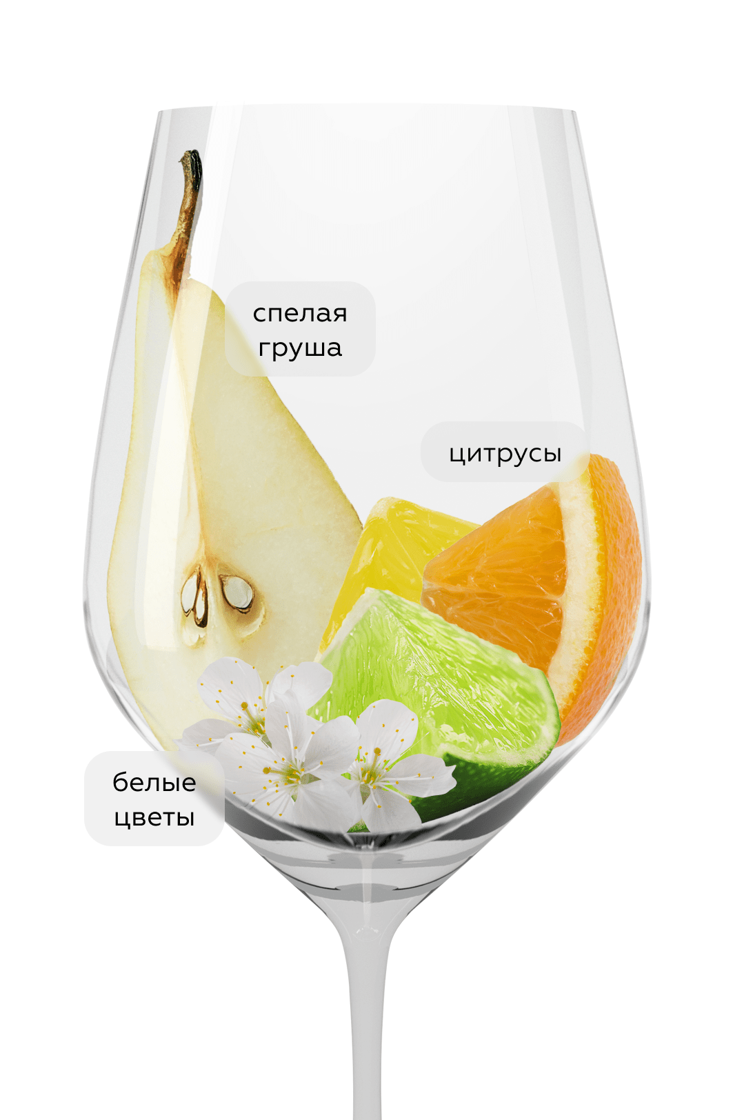 Вино Rkatsiteli, Giuaani, 2023, (150171), Грузия, Кахетия, белое, сухое, 0.75 л, Ркацители, цена 1640 рублей