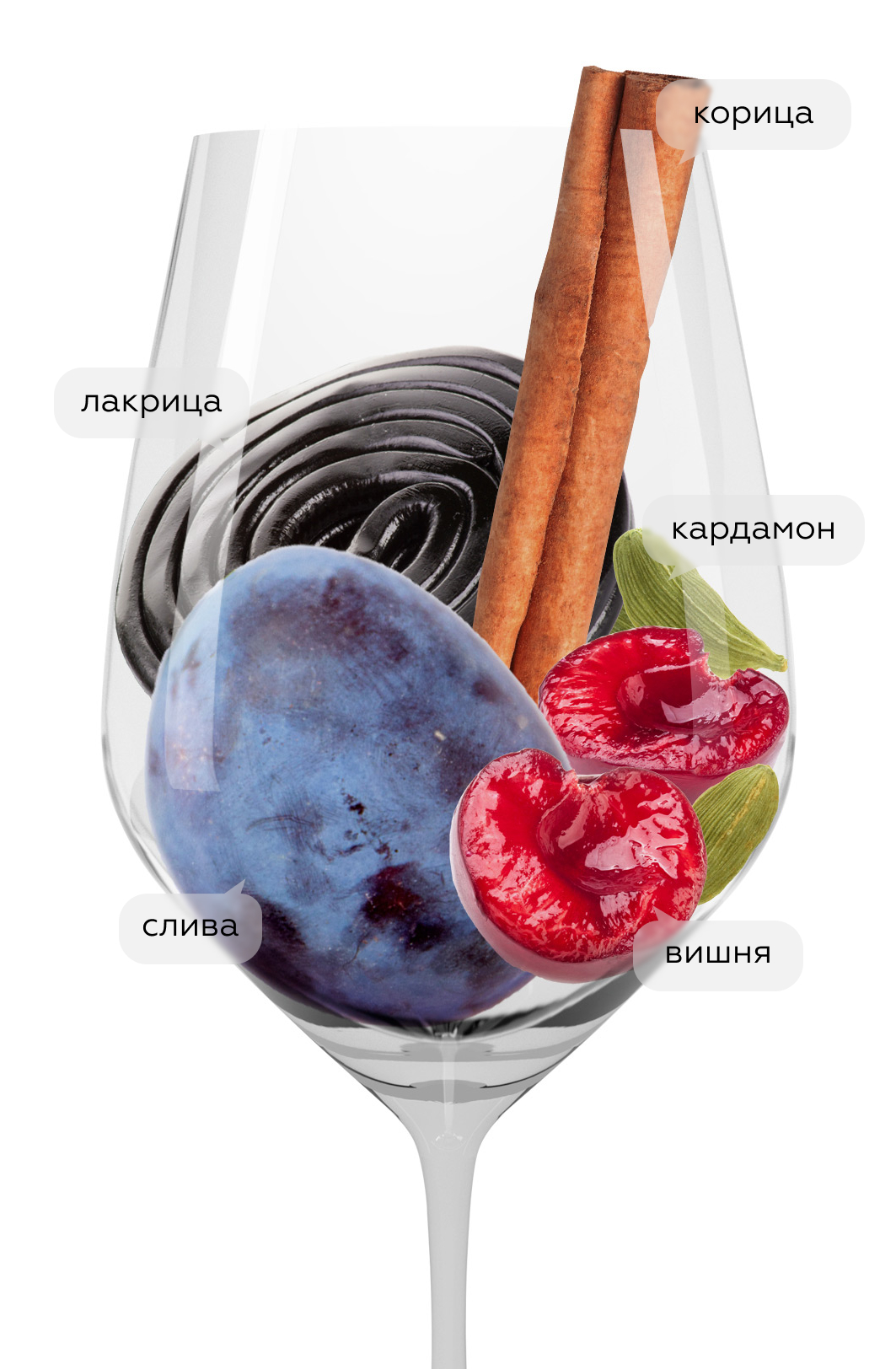 Вино Brunello di Montalcino, Banfi, 2020, 0.375л, (154561), Италия, Тоскана, красное, сухое, 0.375 л, Брунелло ди Монтальчино, цена 5490 рублей