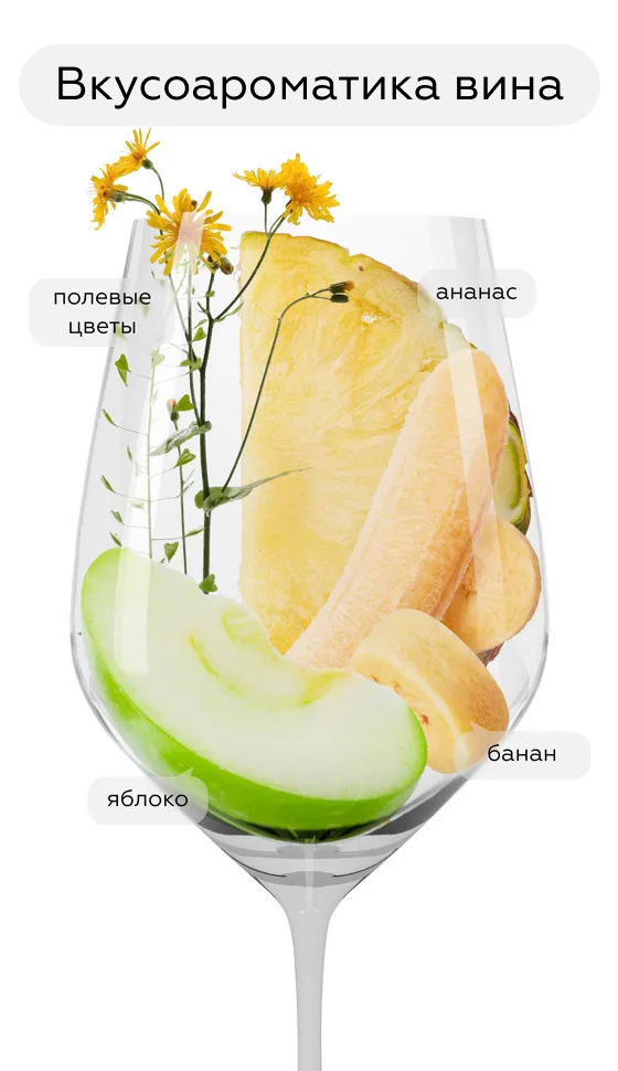 Вино Priara Pinot Grigio, Pradio, 2023, (147262), Италия, Фриули-Венеция-Джулия, белое, сухое, 0.75 л, Приара Пино Гриджо, цена 2890 рублей