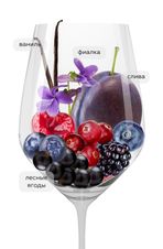 Вино Chianti Classico, (140944), красное сухое, 2020 г., 0.75 л, Кьянти Классико цена 2290 рублей