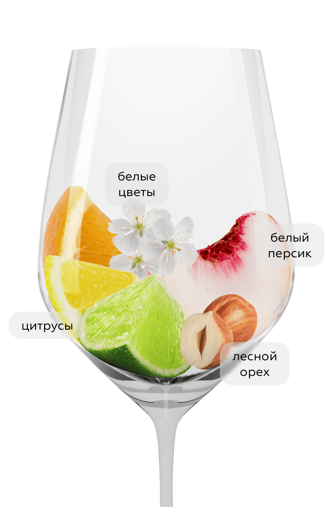 Игристое вино Le Grand Noir Cremant de Limoux, (157334), Франция, Лангедок-Руссильон, белое, брют, 0.75 л, Ле Гран Нуар Креман де Лиму, цена 2990 рублей