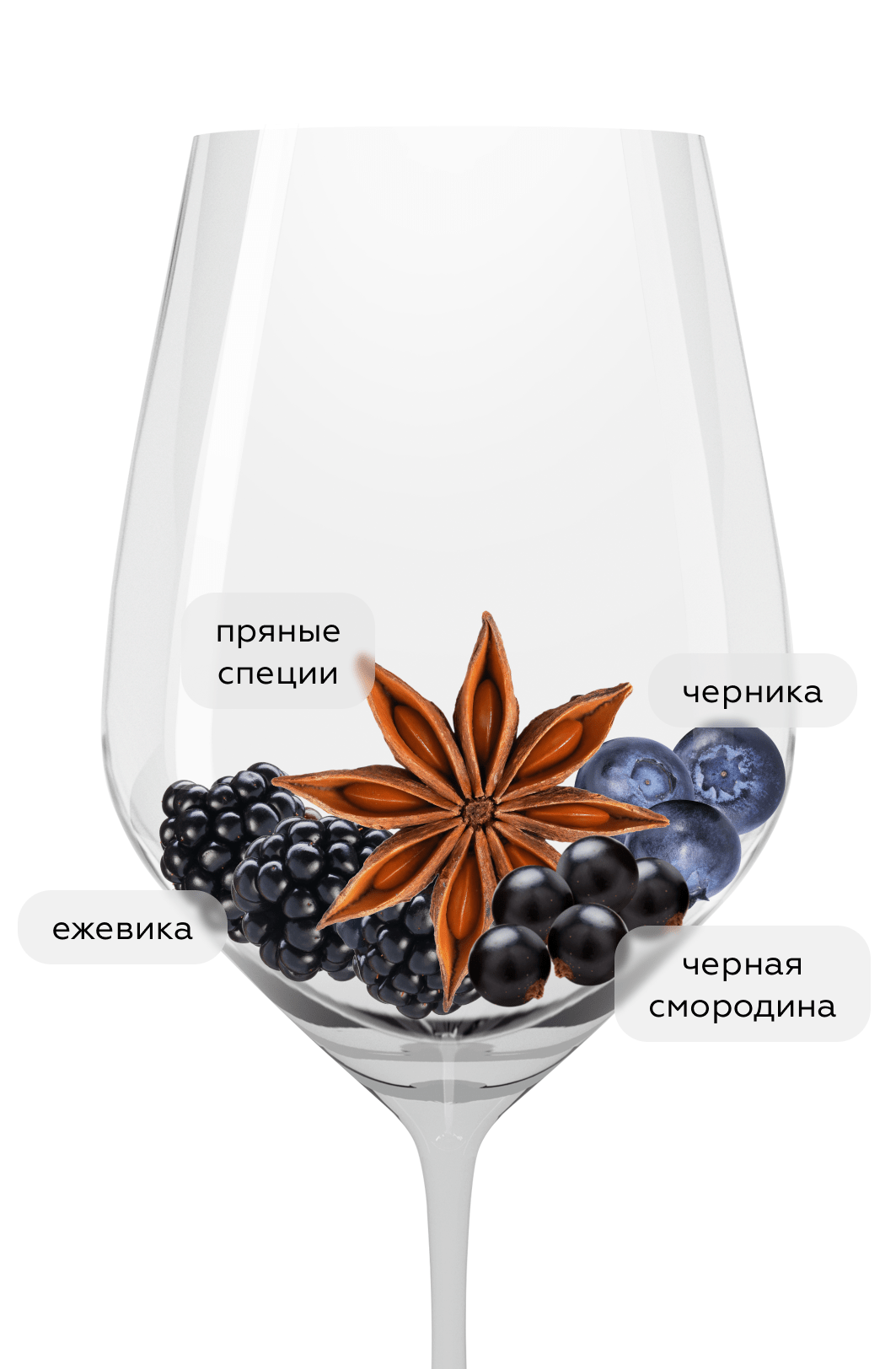 Вино Grenache Muzzi, Origin Wine Stellenbosch, 2024, (150851), Южная Африка, Стелленбош, красное, сухое, 0.75 л, Муцци Гренаш, цена 1440 рублей