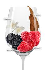 Вино Mormoreto, (123248), красное сухое, 2016 г., Морморето цена 16490 рублей
