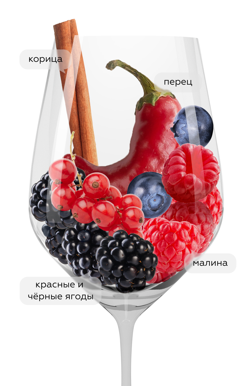 Вино Pinot Noir Cellar Selection, Sileni, 2020, (131396), Новая Зеландия, Хокс Бей, красное, сухое, 0.75 л, Пино Нуар Селлар Селекшн, цена 2690 рублей