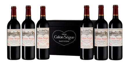 Вино Set Chateau Calon-Segur: 1998, 2000, 2003, 2005, 2006, 2009, (142354), 0.75 л, НАБОР Шато Калон Сегюр 1998-2009 цена 254990 рублей