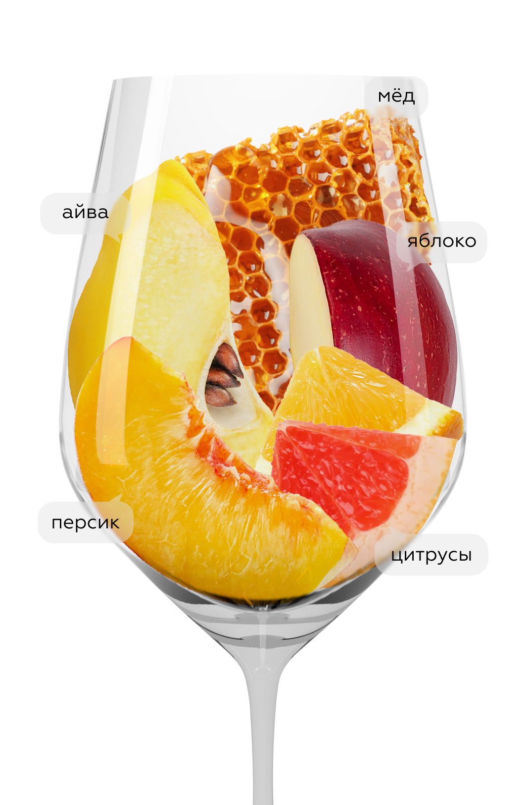 Вино Gruner Veltliner Klassik, Nastl, 2024, (156800), Австрия, Нижняя Австрия, белое, полусухое, 0.75 л, Грюнер Вельтлинер Классик, цена 2093 рублей