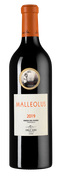 Malleolus