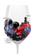 Вино Le Grand Noir Syrah, (140381), красное сухое, 2021 г., 0.75 л, Ле Гран Нуар Сира цена 1590 рублей