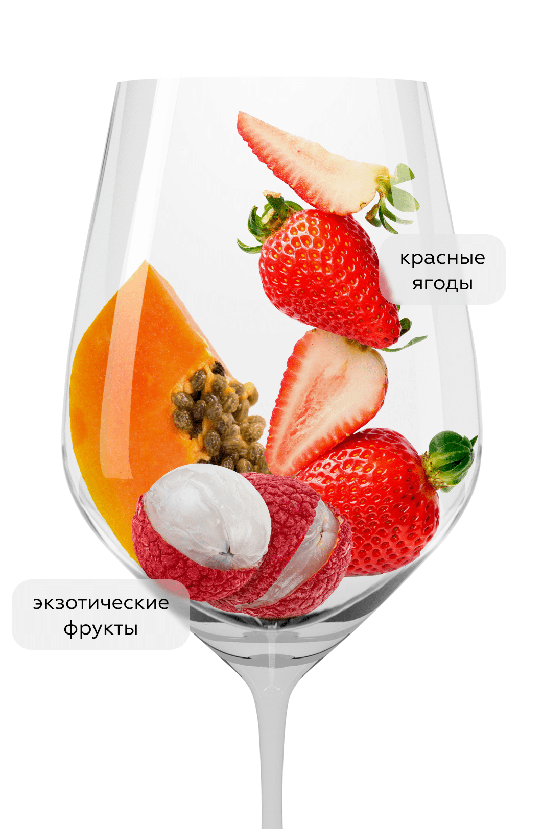 Шипучее вино безалкогольное Uva Brava Frizz Rose, 0,0%, Bodegas Reymos, (147899), Испания, 0.75 л, Ува Брава Фризз Розе Безалкогольное, цена 1190 рублей