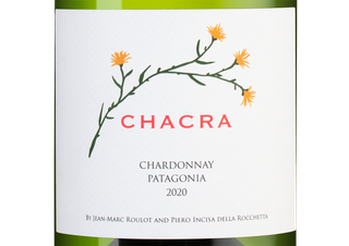 Вино Chardonnay, (132582), белое сухое, 2020 г., 0.75 л, Шардоне цена 17490 рублей