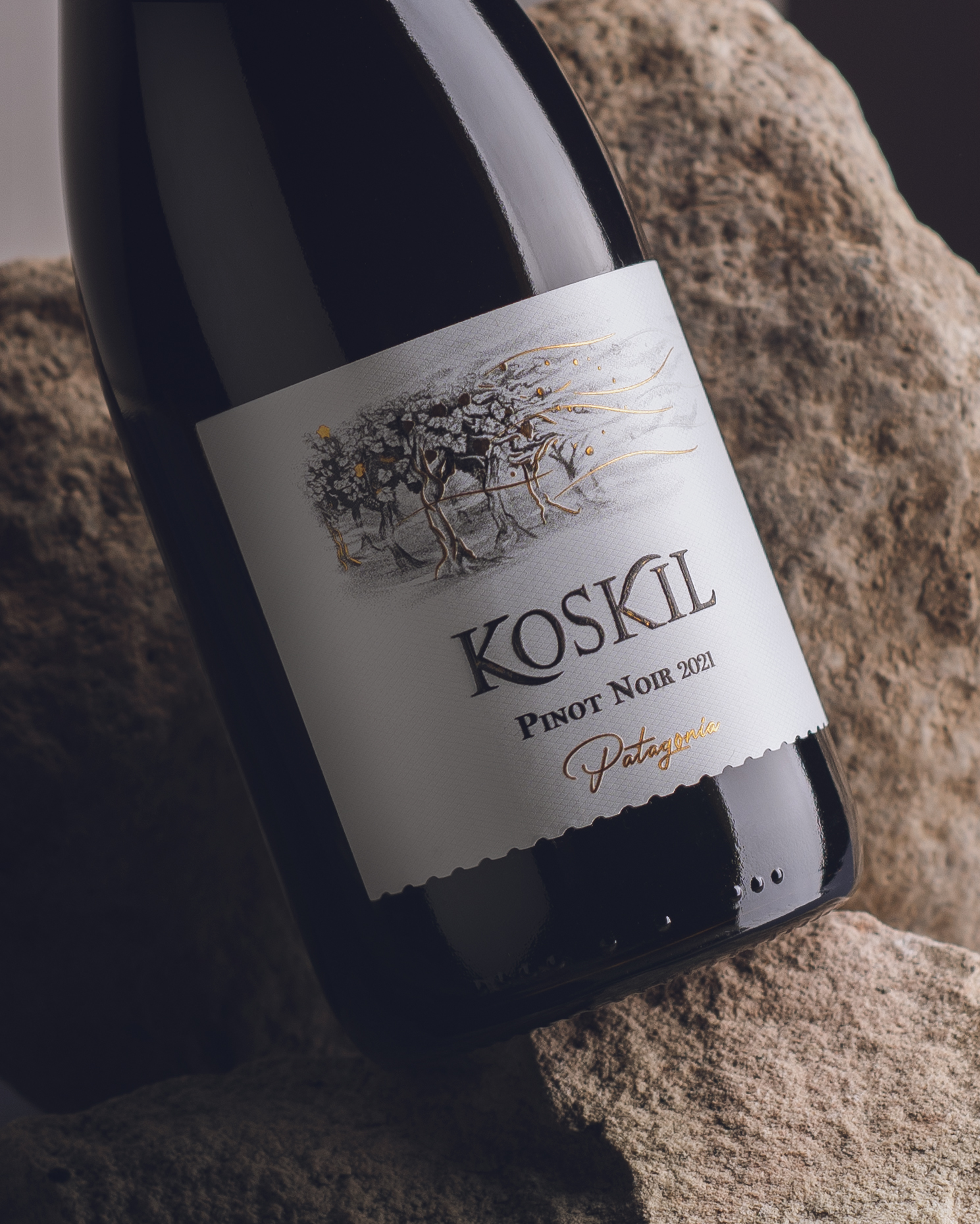 Вино Koskil Pinot Noir, Trapiche, 2022, (151672), Аргентина, Патагония, красное, сухое, 0.75 л, Коскиль Пино Нуар, цена 2490 рублей