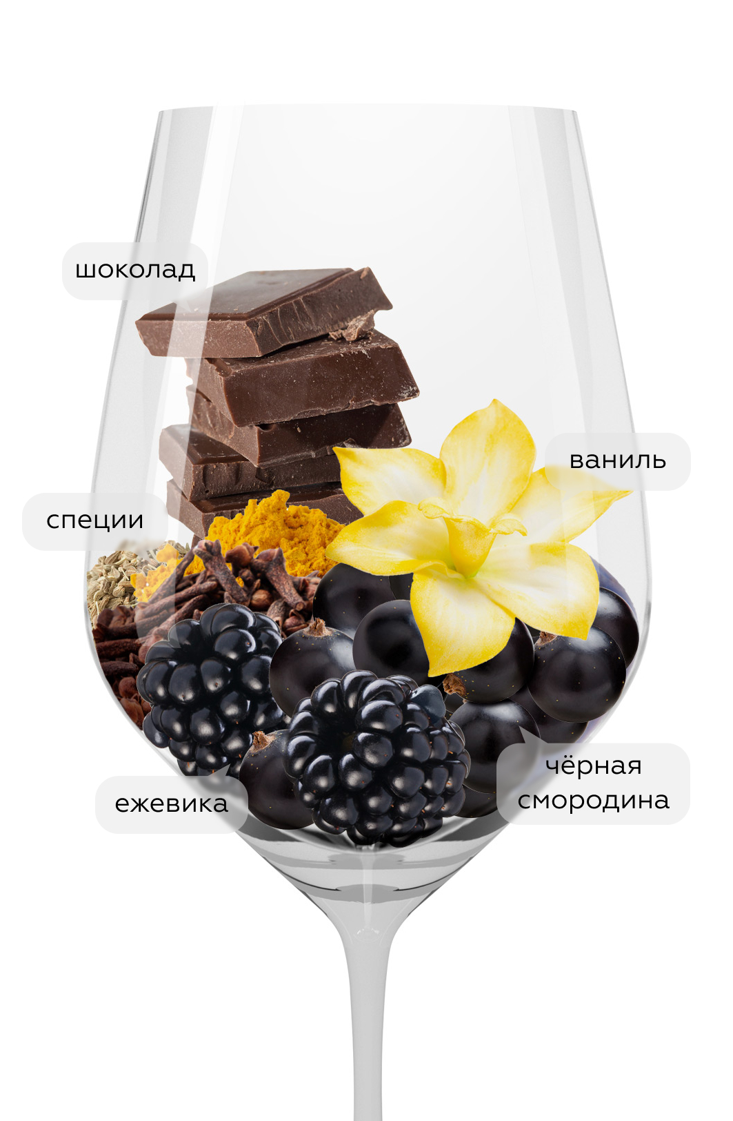 Вино Fortius Reserva, 2016, (135199), Испания, Наварра, красное, сухое, 0.75 л, Фортиус Ресерва, цена 1990 рублей