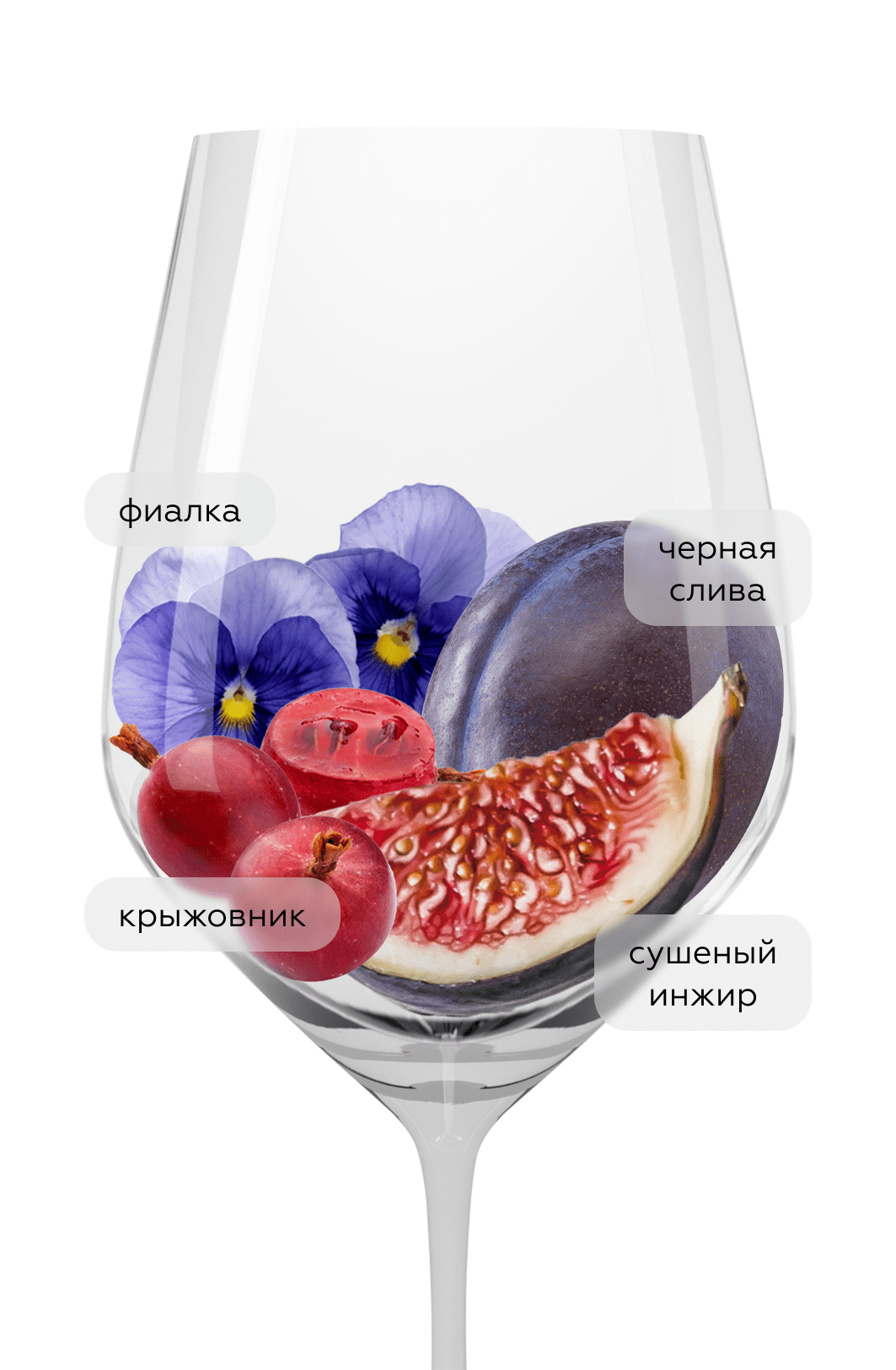 Вино Maia Primitivo, Cielo, 2023, (155003), Италия, Апулия, красное, полусухое, 0.75 л, Майя Примитиво, цена 2390 рублей