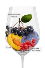 Вино Estelar Carmenere, (139009), красное сухое, 2020 г., 0.75 л, Эстелар Карменер цена 1190 рублей