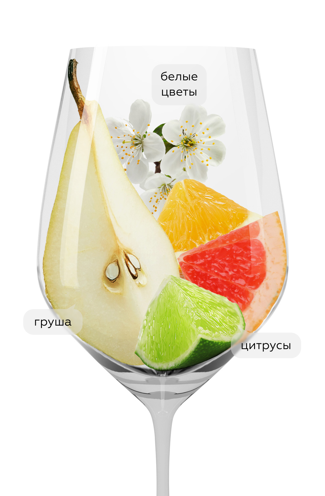 Вино Grin Pinot Grigio, Volpe Pasini, 2024, (156510), Италия, Фриули-Венеция-Джулия, белое, сухое, 0.75 л, Грин Пино Гриджо, цена 3490 рублей