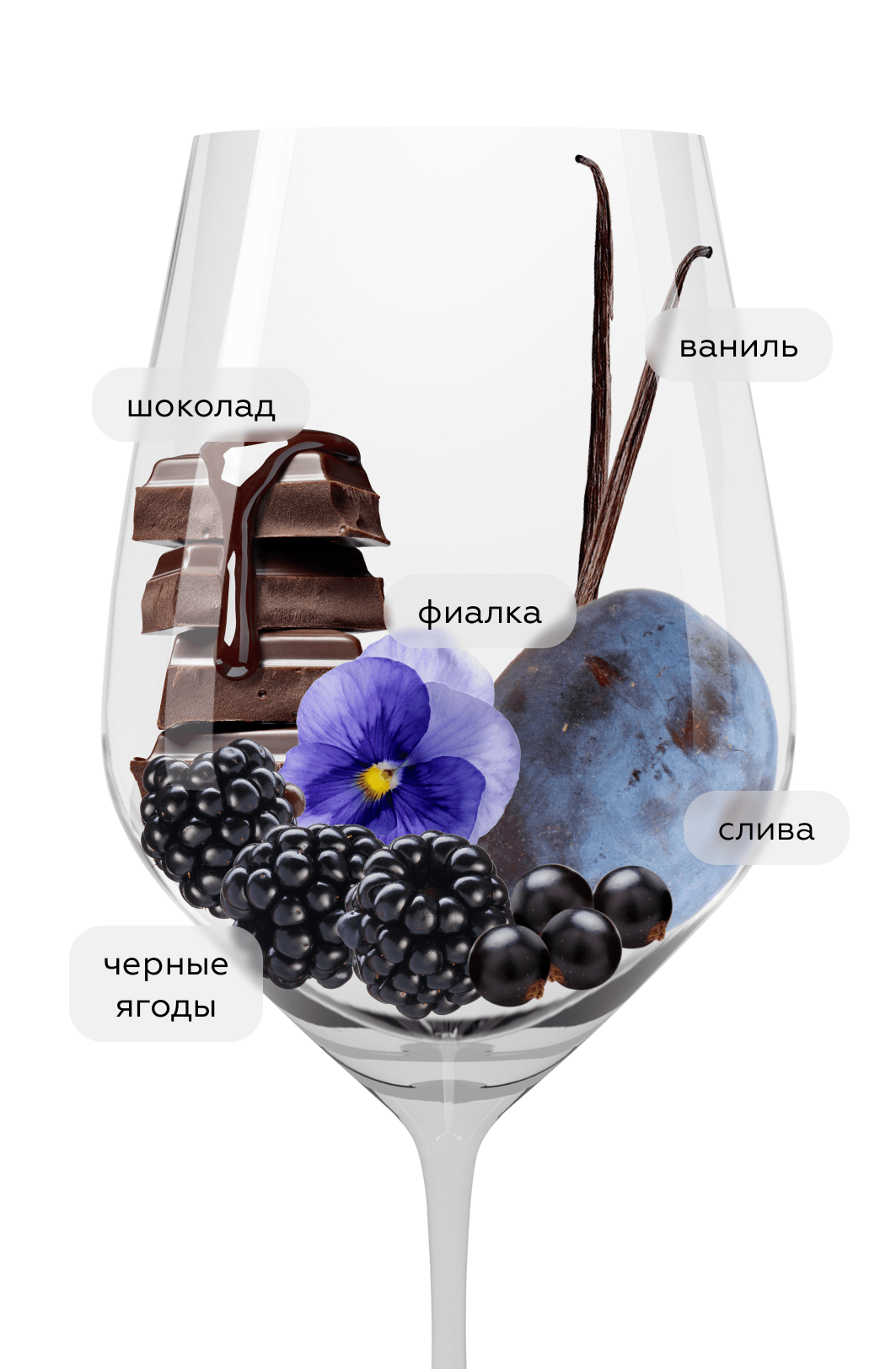 Вино Davne Vineyards Spirits Garnacha, Bodegas Manzanos, 2023, (147898), Испания, Наварра, красное, сухое, 0.75 л, Дафне Гарнача, цена 1790 рублей