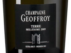 Шампанское пино менье Champagne Geoffroy Terre Extra Brut Premier Cru