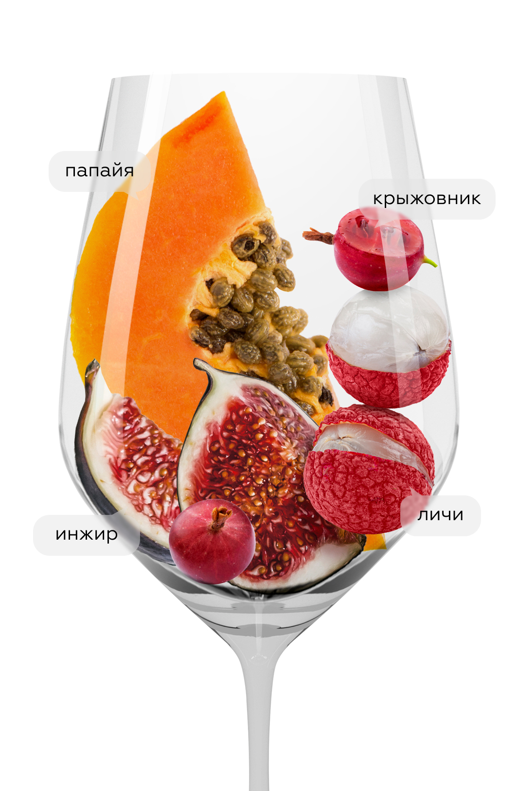 Вино Le Grand Noir Sauvignon Blanc, 2022, (141259), Франция, Лангедок-Руссильон, белое, сухое, 0.75 л, Ле Гран Нуар Совиньон Блан, цена 1990 рублей