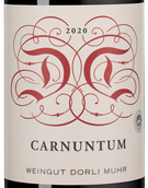 Вино с вкусом лесных ягод Carnuntum