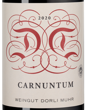 Вино Carnuntum, (146918), красное сухое, 2020 г., 0.75 л, Карнунтум цена 3990 рублей
