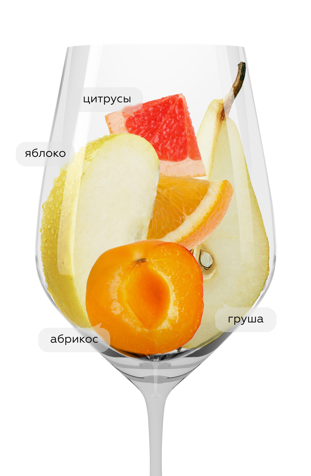 Вино Urban Riesling, Nik Weis St. Urbans-Hof, 2024, (153776), Германия, Мозель, белое, полусухое, 0.75 л, Урбан Рислинг, цена 1592 рублей