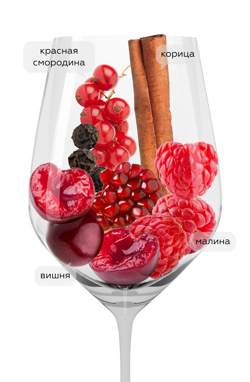 Вино Valpolicella Valpantena, Bertani, 2021, (136734), Италия, Венето, красное, сухое, 0.75 л, Вальполичелла Вальпантена, цена 4990 рублей