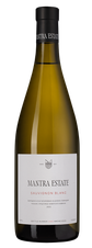 Вино Mantra Совиньон Блан, (146664), белое сухое, 2022 г., 0.75 л, Совиньон Блан цена 3990 рублей