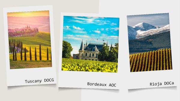 Аппелласьон: что это и как им пользоваться