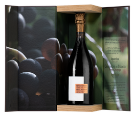 Шампанское Pinot Noir Brut Ambonnay Grand Cru, (127890), белое экстра брют, 2009 г., 0.75 л, Пино Нуар Брют Амбоне Гран Крю цена 40690 рублей