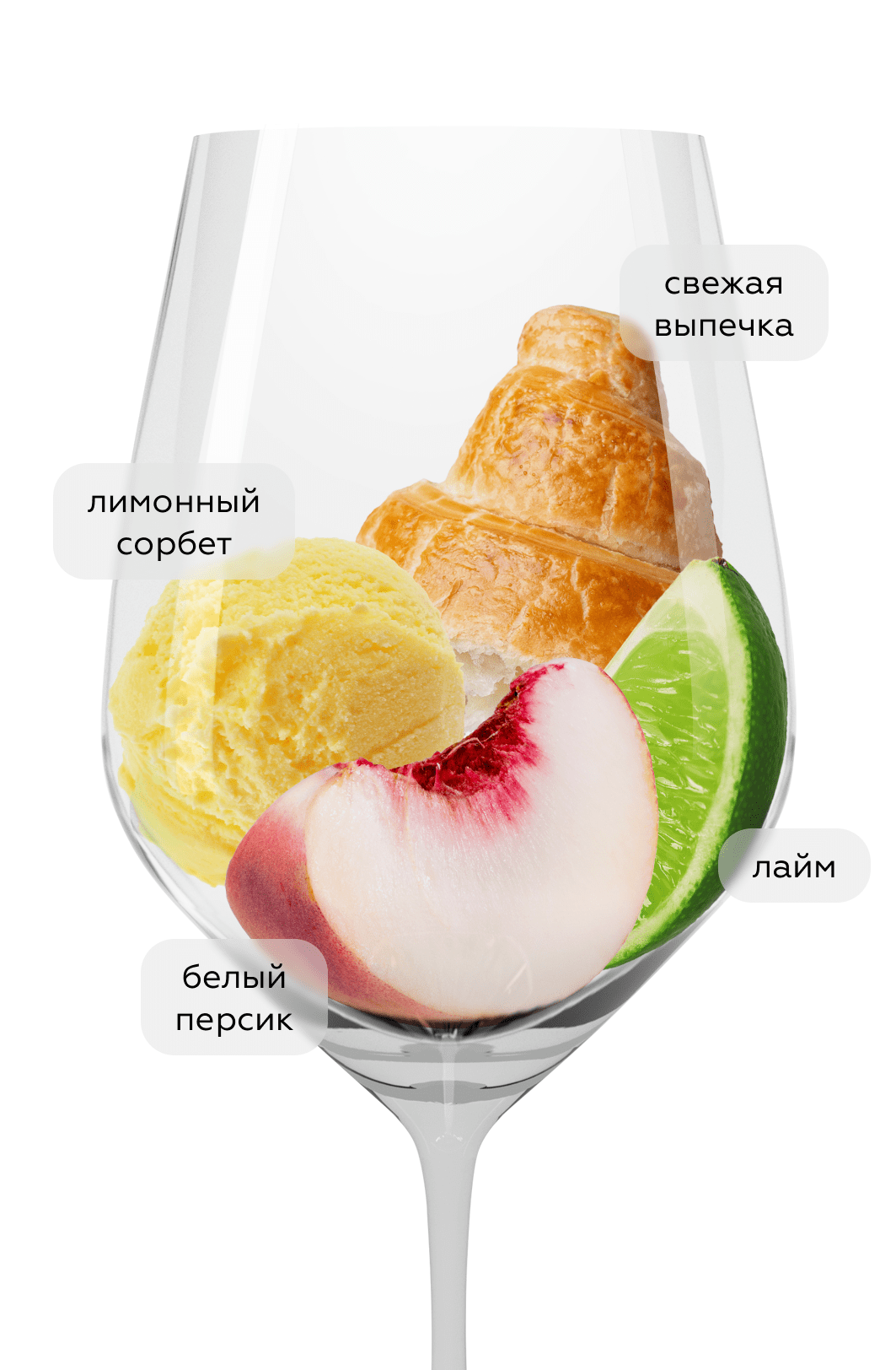 Вино Penfolds Max's Chardonnay, 2019, (149427), Австралия, Южная Австралия, белое, сухое, 0.75 л, Пенфолдс Максиз Шардоне, цена 5790 рублей