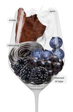 Вино Pinotage, (141074), красное сухое, 2018 г., 0.75 л, Пинотаж цена 2490 рублей