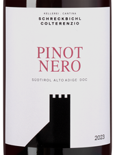 Вино Pinot Nero (Blauburgunder), (148073), красное сухое, 2023, 0.75 л, Пино Неро (Блаубургундер) цена 4190 рублей