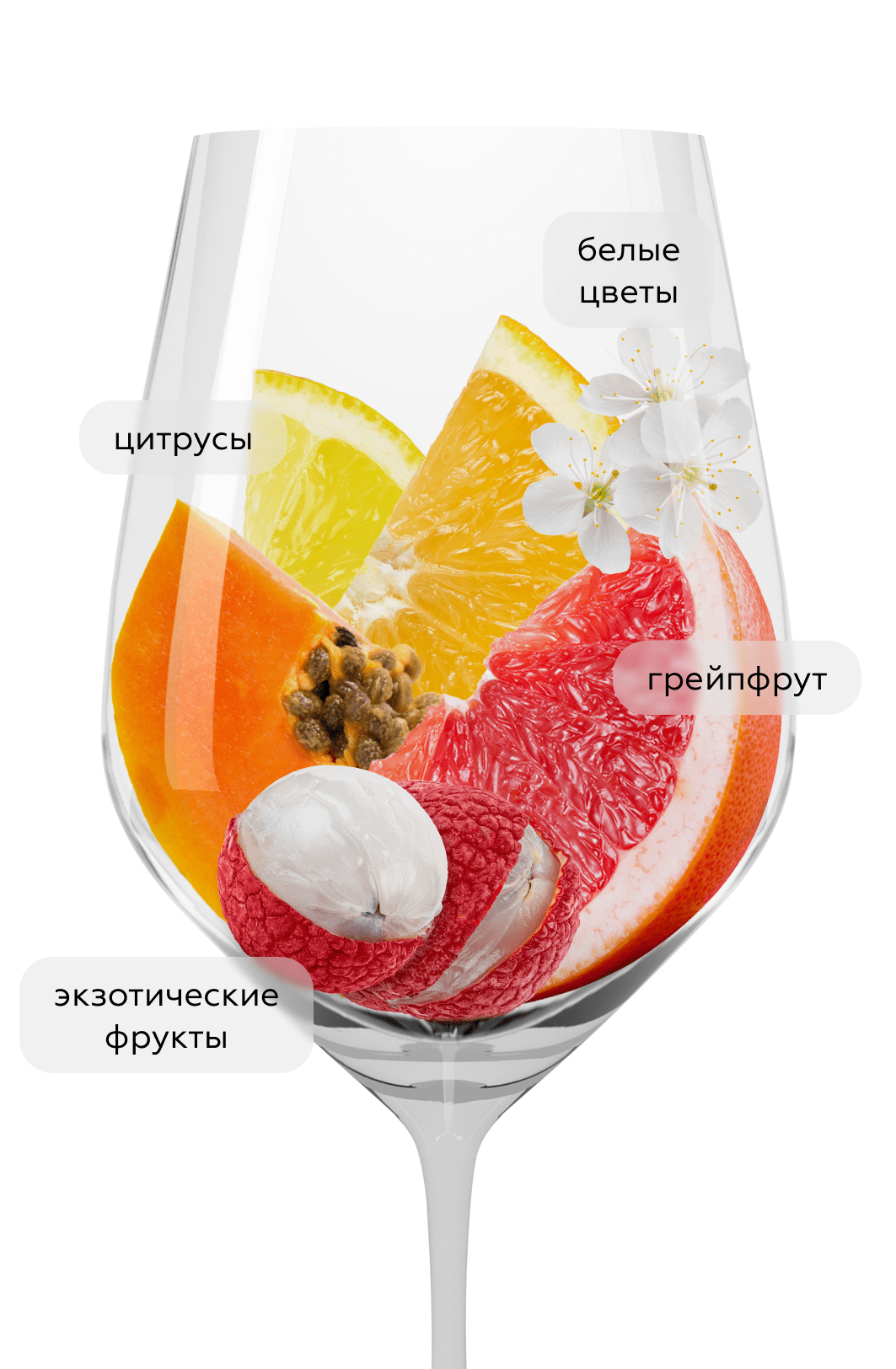 Вино Riesling Tradition, Cave de Turckheim, 2022, (148584), Франция, Эльзас, белое, сухое, 0.75 л, Рислинг Традисьон, цена 3290 рублей