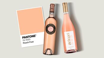 Воздушный персик: вина в цвете года Pantone