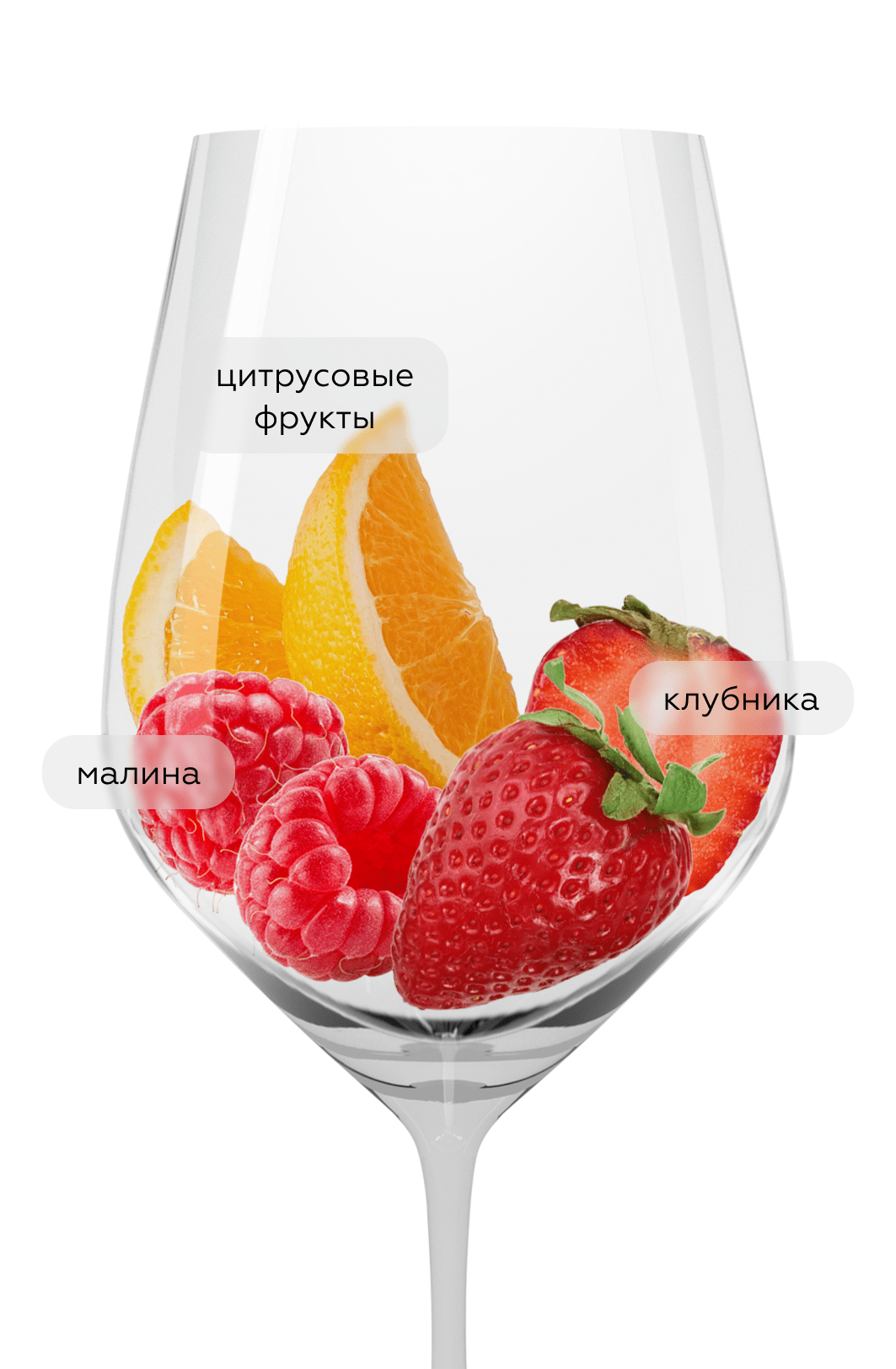 Вино Gran Feudo Rosado, Bodegas Chivite, 2022, (142150), Испания, Наварра, розовое, сухое, 0.75 л, Гран Феудо Росадо, цена 2290 рублей