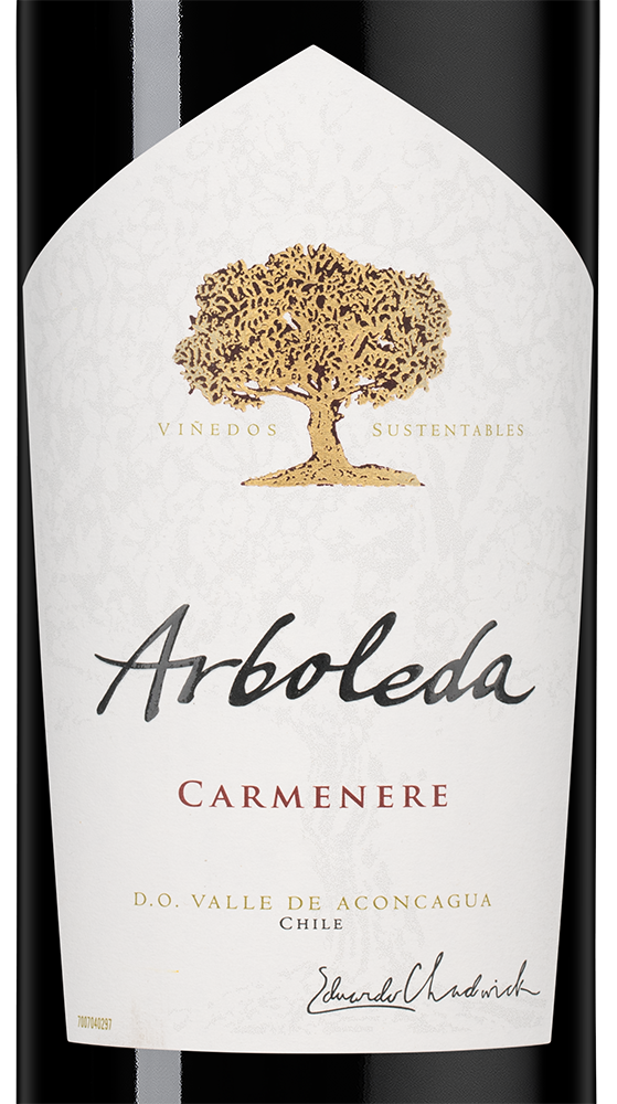 Вино Carmenere, Vina Arboleda, 2023, (154682), Чили, Аконкагуа, красное, сухое, 0.75 л, Карменер, цена 4490 рублей