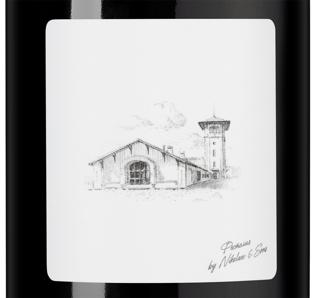 Вино Фестелия, Николаев и Сыновья, 2023, 1.5л, (157697), Россия, Кубань, красное, сухое, 1.5 л, Фестелия, цена 4690 рублей